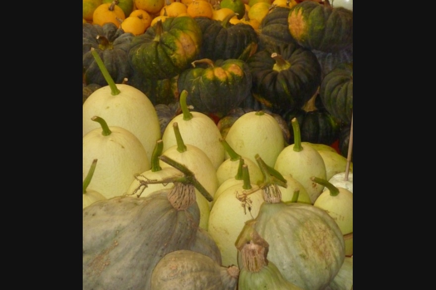 Marché de citrouilles