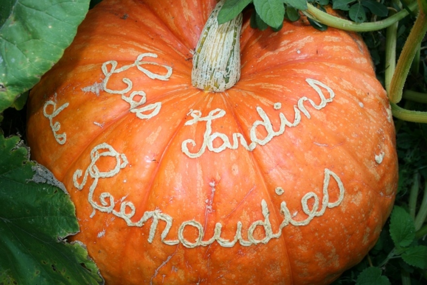 Décors sur citrouilles