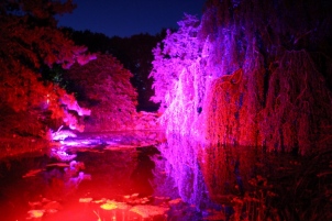 Jardin du soir