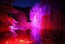 Jardin du soir
